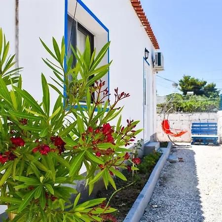 Troi House * Vlore
