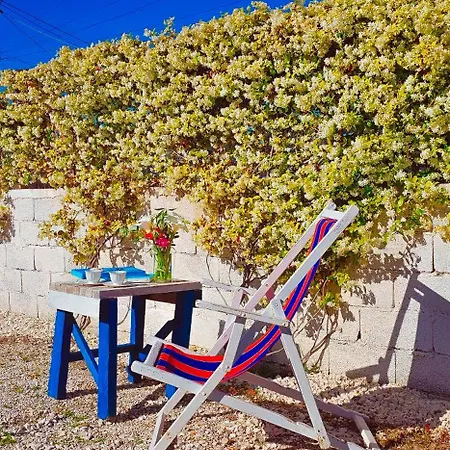 فيلة Troi House