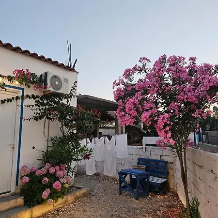Troi House * Vlore
